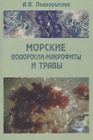 Морские водоросли-макрофиты и травы