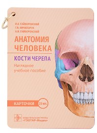 Анатомия человека. Кости черепа. Карточки: наглядное учебное пособие