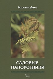 Садовые папоротники