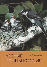 Лесные птицы России