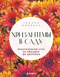 Хризантемы в саду. Практический курс от посадки до цветения