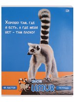 Тетрадь общая «Лемур - шоу» в ассортименте, 48 листов в клетку, А5 - BG
