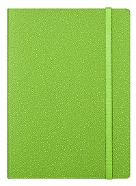 Ежедневник недат. А6+ 160л "Froggy" салатовый, иск.кожа., мягк.переплет, двойное ляссе, резинка, цветоч.срез, In Folio