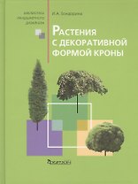 Растения с декоративной формой кроны