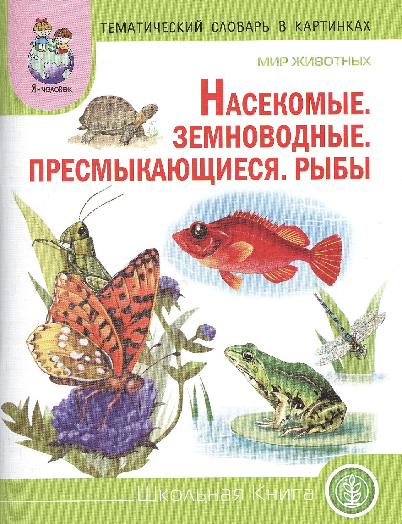 Тематический словарь в картинках. Мир животных: Насекомые. Земноводные. Пресмыкающиеся. Рыбы. Для занятий с детьми дошкольного возраста
Тематический словарь в картинках. Мир животных: Насекомые. Земноводные. Пресмыкающиеся. Рыбы. Для занятий с детьми дошкольного возраста