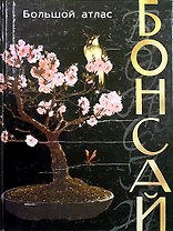 Бонсай Большой атлас (черн). Ф.Х.А. де ла Пас. (БММ)