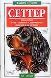 Сеттер