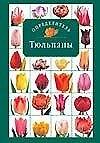 Тюльпаны: Определитель