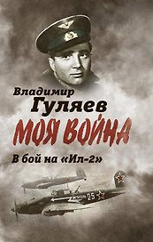 В бой на "Ил-2". Нас называли "черной смертью"