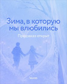 Зима, в которую мы влюбились