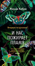 И нас пожирает пламя