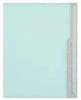 Дневник шк. "Плонже мятный" кожзам, тв.переплёт, поролон, тиснение фольгой, пантон, одно ляссе, загругл.углы, универс.шпаргалка