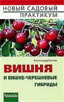 Вишня и вишне-черешневые гибриды