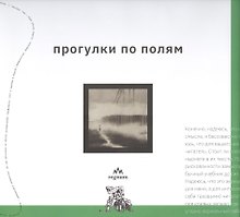 Прогулки по полям