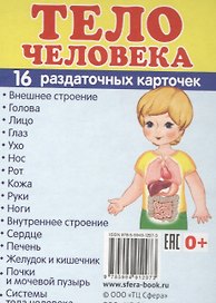 Демонстрационные картинки СУПЕР Тело человека.16 раздаточных карточек с текстом (63х87 мм)