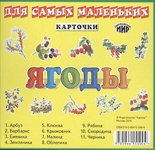 Ягоды / набор карточек