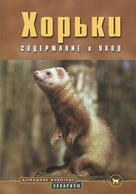 Хорьки. Содержание и уход