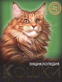 Кошки