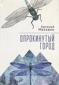 Опрокинутый город