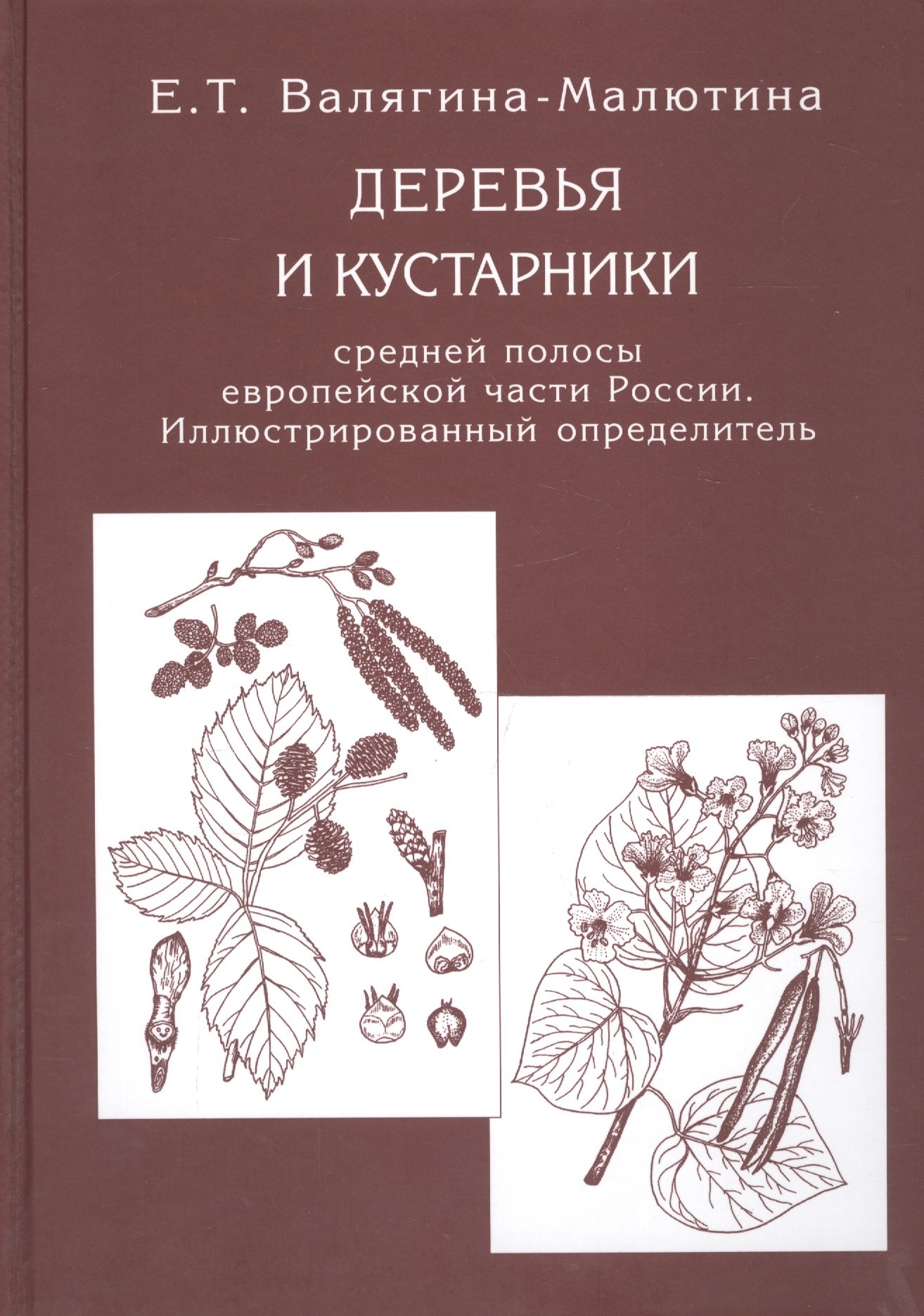 Деревья и кустарники средней полосы европейской части России: Иллюстрированный определитель
Деревья и кустарники средней полосы европейской части России: Иллюстрированный определитель