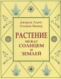 Растение между солнцем и землей