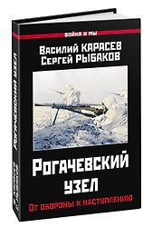 Рогачевский узел. От обороны к наступлению
