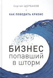 Бизнес, попавший в шторм. Как победить кризис