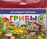 Обучающие карточки "Грибы" (европодвес)
