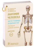 Анатомия человека. Кости туловища и конечностей. Наглядное учебное пособие. Карточки