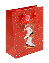 Пакет А5 23*18*10 "Коньки" НГ, бум.мат.ламинат