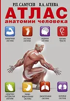 Атлас анатомии человека