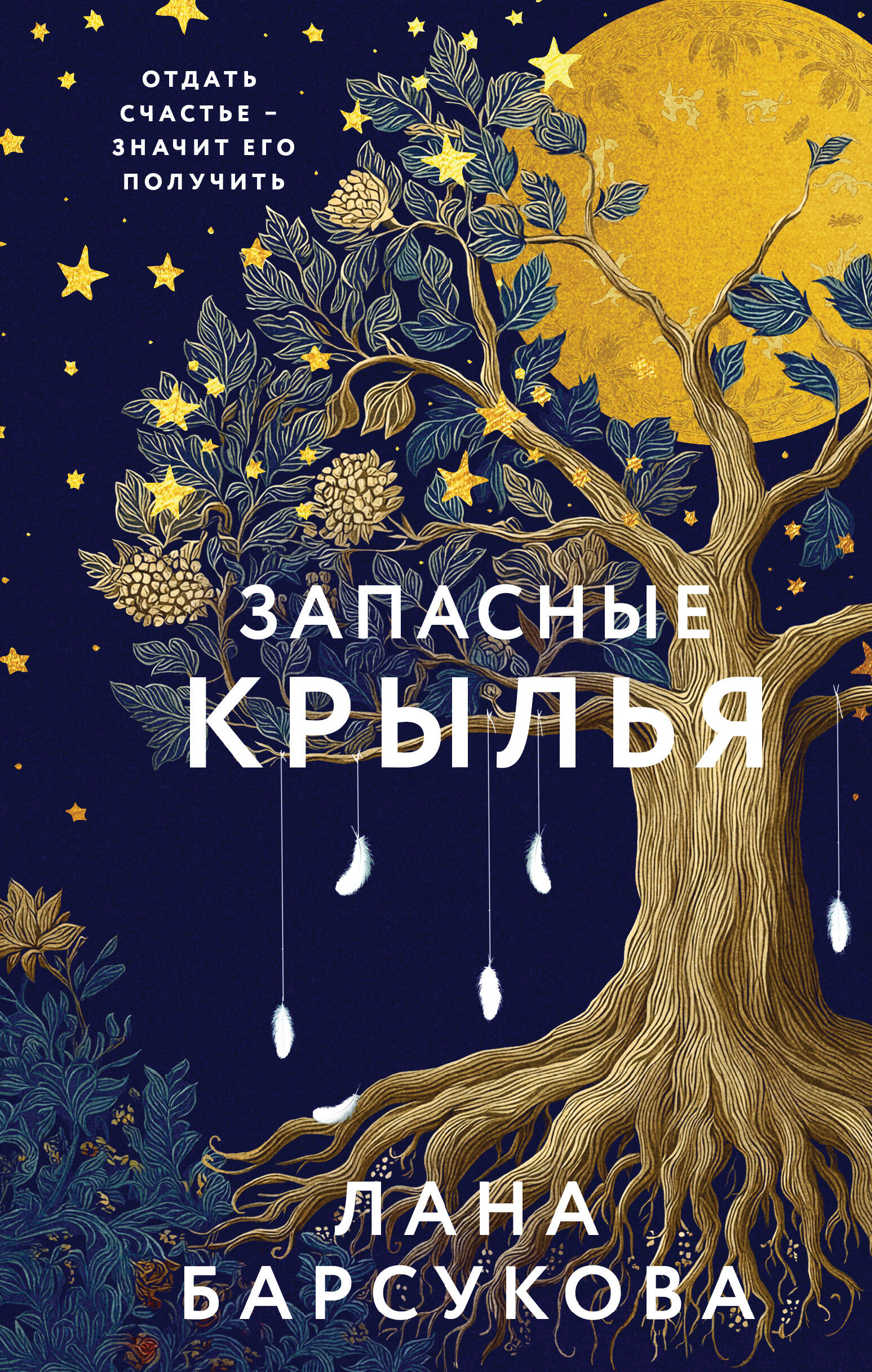 Запасные крылья
Запасные крылья