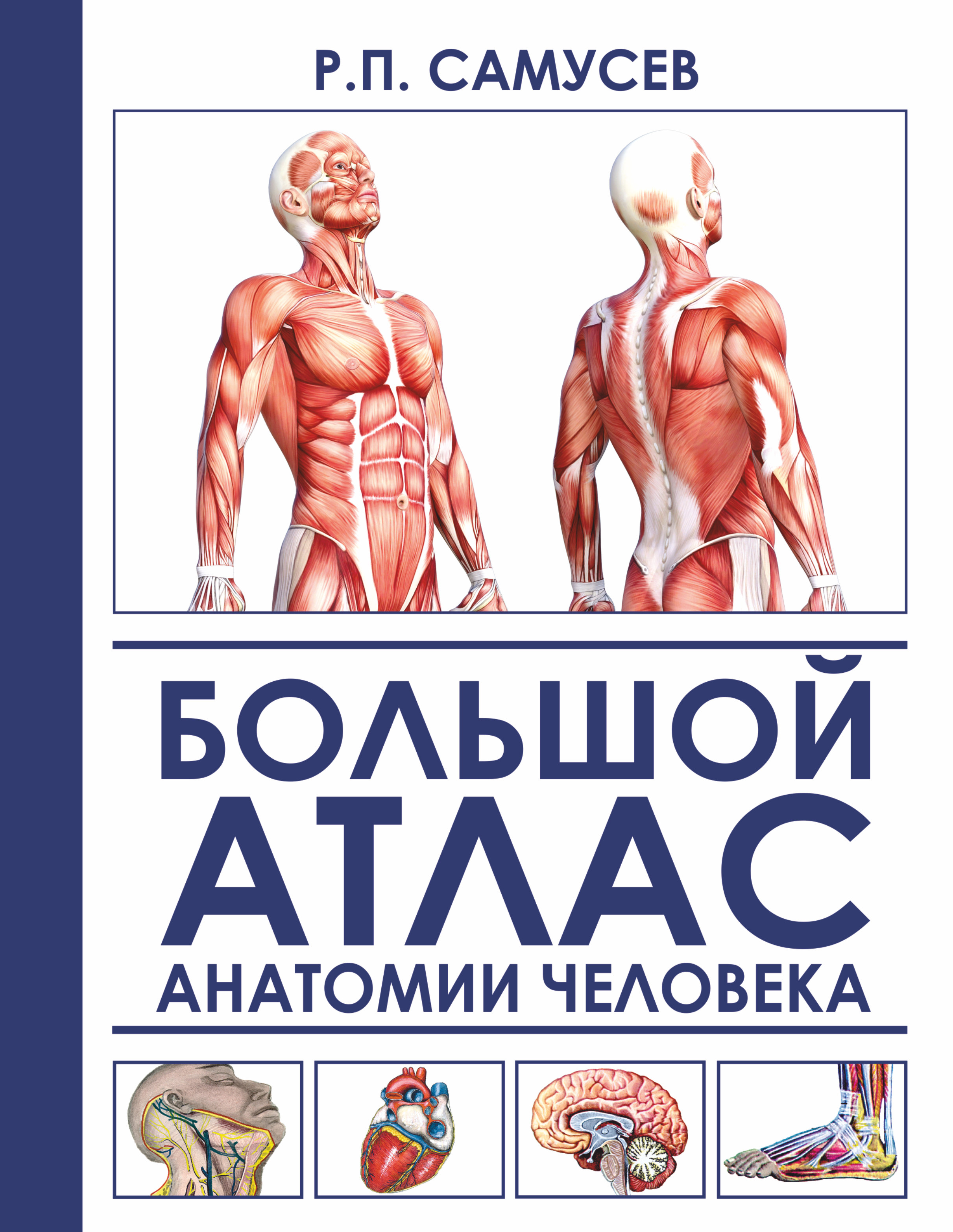 Большой атлас анатомии человека
Большой атлас анатомии человека