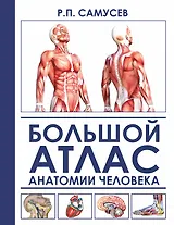 Большой атлас анатомии человека