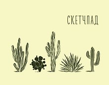 Кактусы. Скетчпад