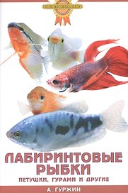 Лабиринтовые рыбки. Петушки, гурами и другие