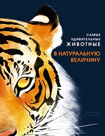 Самые удивительные животные в натуральную величину