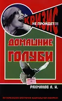 Домашние голуби. содержание и разведение.