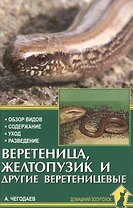 Веретеница, желтопузик и другие веретеницевые.