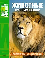 Животные крупным планом. Иллюстрированная энциклопедия
