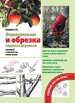 Формирование и обрезка садовых деревьев