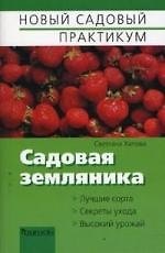 Садовая земляника
