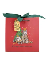 Пакет А5 20*20*8 "Два кота. Congratulations" НГ, бум.мат.ламинат