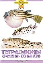 Зол.сов.Тетраодоны (рыбы-собаки)