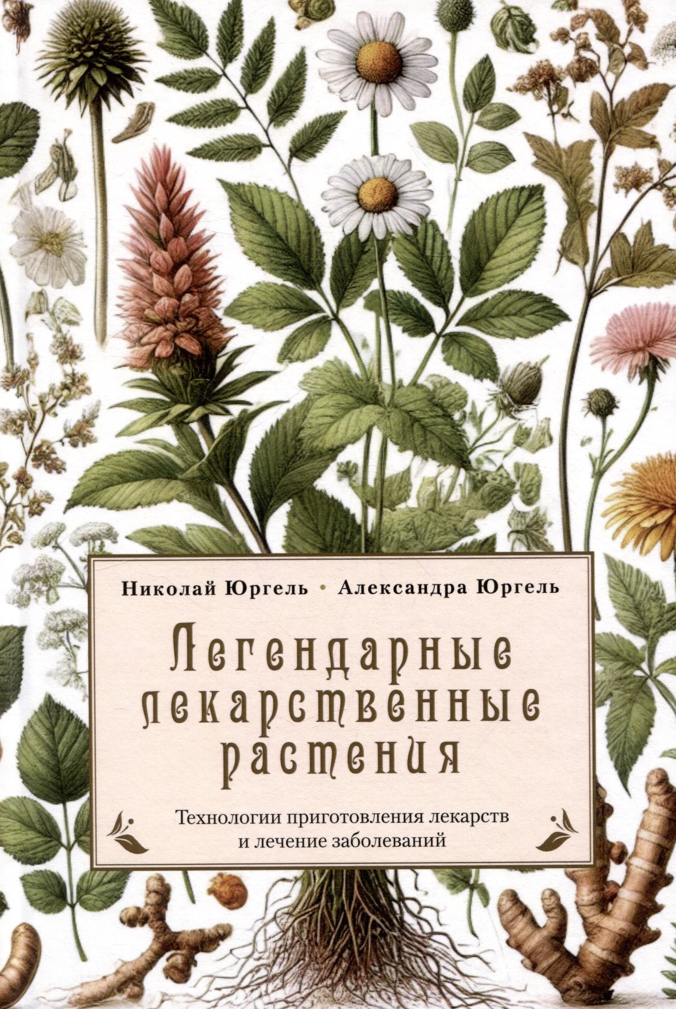 Легендарные лекарственные растения. Технологии приготовления лекарств и лечение заболеваний
Легендарные лекарственные растения. Технологии приготовления лекарств и лечение заболеваний