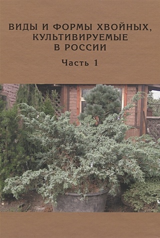 Виды и формы хвойных, культивируемые в России. Часть 1. Можжевельник