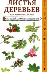 Листья деревьев. Как узнать растение. Наглядный карманный определитель