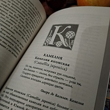 Фото отзыв 7