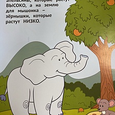 Фото отзыв 0