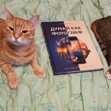 Фото отзыв 0